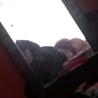 Lola7